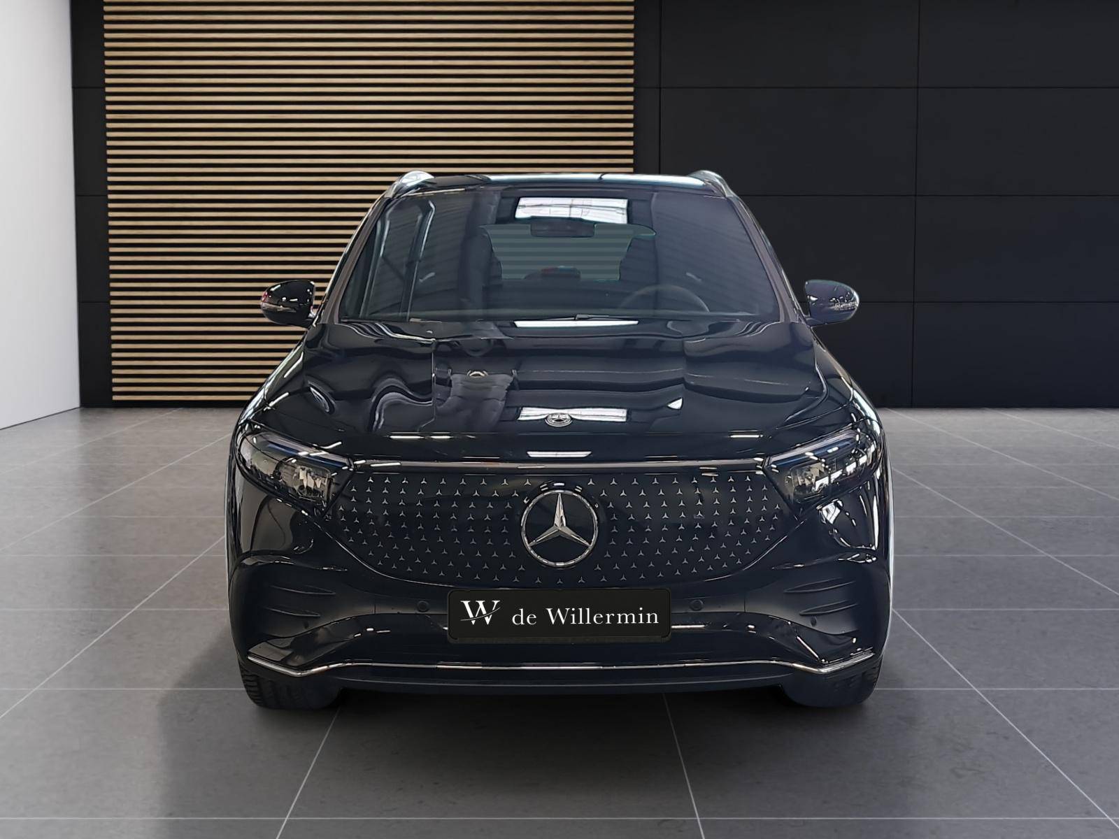 Image MERCEDES EQA EQA 250+