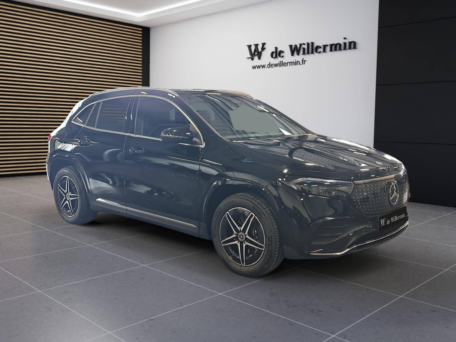 Image MERCEDES EQA EQA 250+