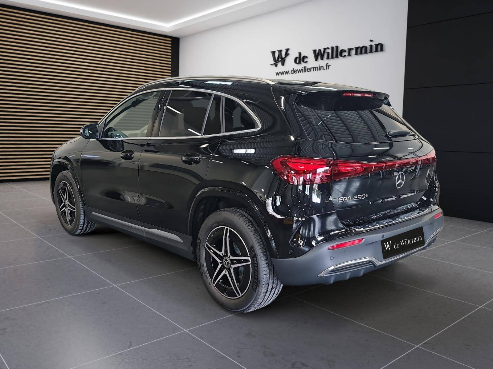 Image MERCEDES EQA EQA 250+